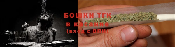 ПСИЛОЦИБИНОВЫЕ ГРИБЫ Баксан