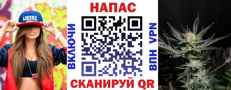 Купить  Строитель  Шишки марихуана VHQ 
